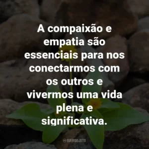 A compaixão e empatia são essenciais para nos conectarmos com os outros e vivermos uma vida plena e significativa.
