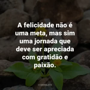 A felicidade não é uma meta, mas sim uma jornada que deve ser apreciada com gratidão e paixão.
