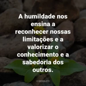 A humildade nos ensina a reconhecer nossas limitações e a valorizar o conhecimento e a sabedoria dos outros.
