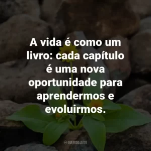 A vida é como um livro: cada capítulo é uma nova oportunidade para aprendermos e evoluirmos.