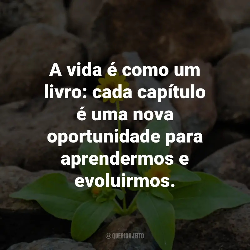 Frases Sobre a Vida: A vida é como um livro: cada capítulo é uma nova oportunidade para aprendermos e evoluirmos.