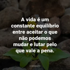 A vida é um constante equilíbrio entre aceitar o que não podemos mudar e lutar pelo que vale a pena.