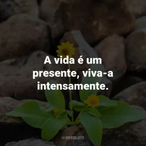 A vida é um presente, viva-a intensamente.