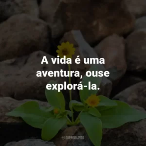 A vida é uma aventura, ouse explorá-la.