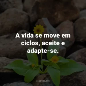 A vida se move em ciclos, aceite e adapte-se.