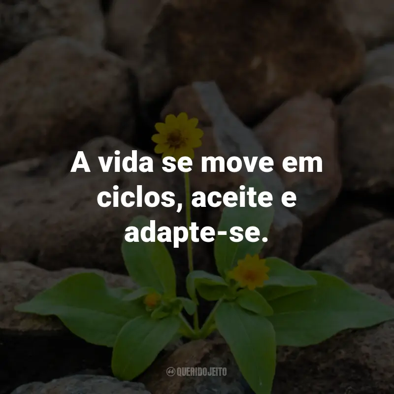 Frases Sobre a Vida: A vida se move em ciclos, aceite e adapte-se.