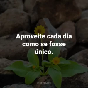 Aproveite cada dia como se fosse único.