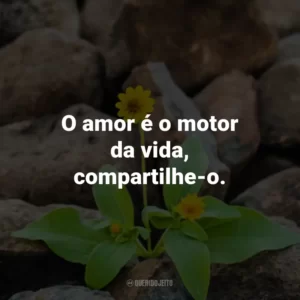 O amor é o motor da vida, compartilhe-o.
