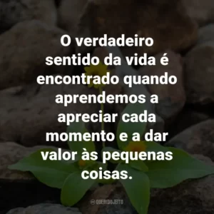 O verdadeiro sentido da vida é encontrado quando aprendemos a apreciar cada momento e a dar valor às pequenas coisas.