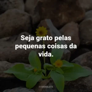Seja grato pelas pequenas coisas da vida.