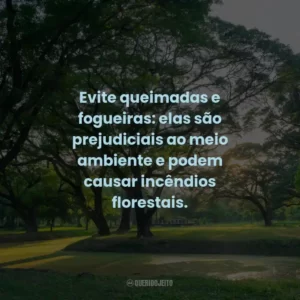 Evite queimadas e fogueiras: elas são prejudiciais ao meio ambiente e podem causar incêndios florestais. 🔥