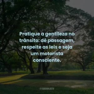 Pratique a gentileza no trânsito: dê passagem, respeite as leis e seja um motorista consciente. 🚗