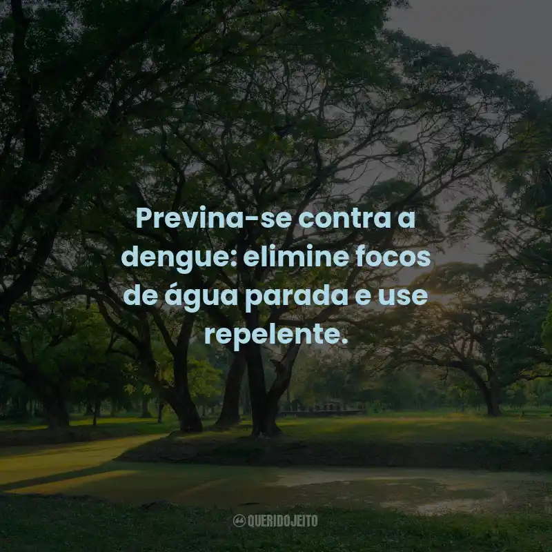 Frases de Utilidade Pública: Previna-se contra a dengue: elimine focos de água parada e use repelente.