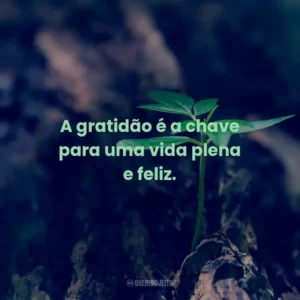 A gratidão é a chave para uma vida plena e feliz.