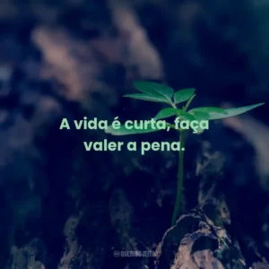 A vida é curta, faça valer a pena.