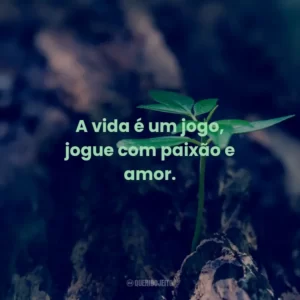 A vida é um jogo, jogue com paixão e amor.