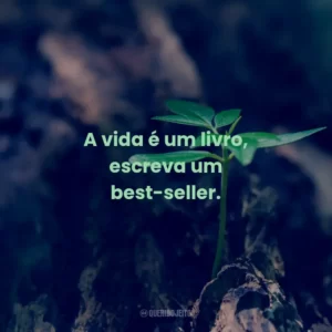 A vida é um livro, escreva um best-seller.