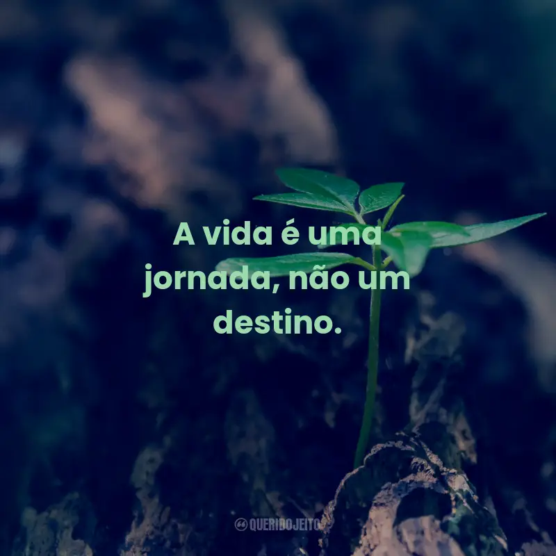 Frases Inspiradoras Sobre a Vida: A vida é uma jornada