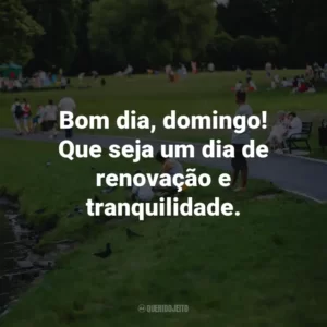Bom dia, domingo! Que seja um dia de renovação e tranquilidade.
