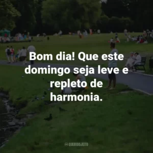 Bom dia! Que este domingo seja leve e repleto de harmonia.