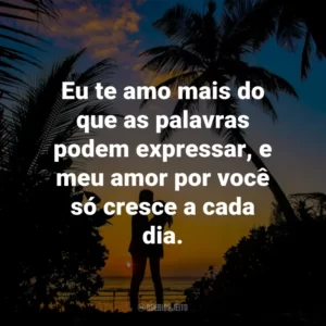 Eu te amo mais do que as palavras podem expressar, e meu amor por você só cresce a cada dia.