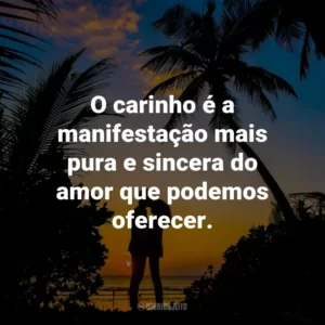 O carinho é a manifestação mais pura e sincera do amor que podemos oferecer.