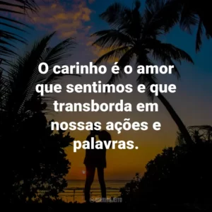 O carinho é o amor que sentimos e que transborda em nossas ações e palavras.