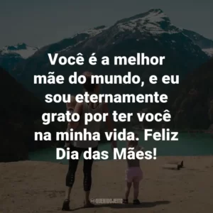 Você é a melhor mãe do mundo, e eu sou eternamente grato por ter você na minha vida. Feliz Dia das Mães!