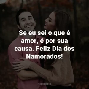 Se eu sei o que é amor, é por sua causa. Feliz Dia dos Namorados!