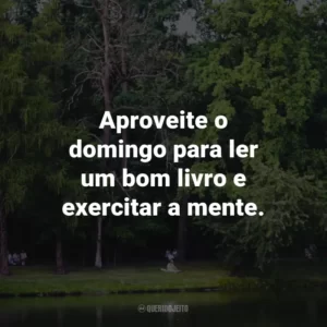 Aproveite o domingo para ler um bom livro e exercitar a mente.