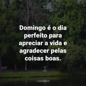 Domingo é o dia perfeito para apreciar a vida e agradecer pelas coisas boas.