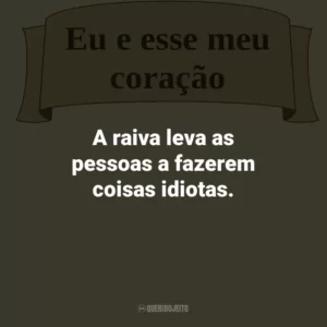 A raiva leva as pessoas a fazerem coisas idiotas.