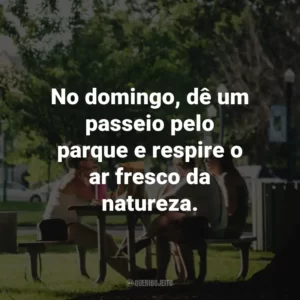 No domingo, dê um passeio pelo parque e respire o ar fresco da natureza.