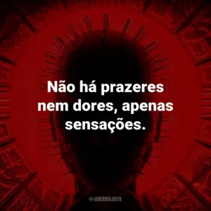 Não há prazeres nem dores, apenas sensações.