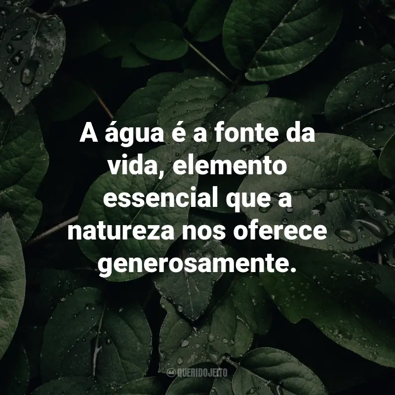 Frases sobre a natureza: A água é a fonte da vida, elemento essencial que a natureza nos oferece generosamente.