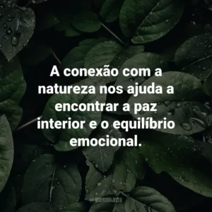 A conexão com a natureza nos ajuda a encontrar a paz interior e o equilíbrio emocional.