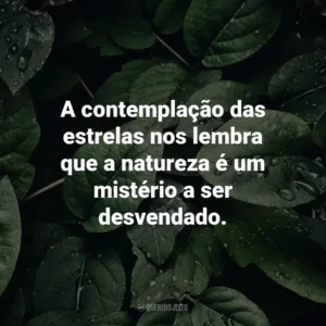 A contemplação das estrelas nos lembra que a natureza é um mistério a ser desvendado.