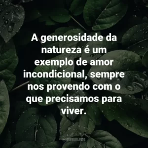A generosidade da natureza é um exemplo de amor incondicional, sempre nos provendo com o que precisamos para viver.