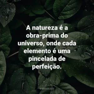 A natureza é a obra-prima do universo, onde cada elemento é uma pincelada de perfeição.