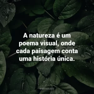 A natureza é um poema visual, onde cada paisagem conta uma história única.