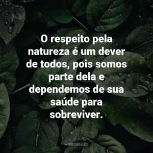 O respeito pela natureza é um dever de todos, pois somos parte dela e dependemos de sua saúde para sobreviver.