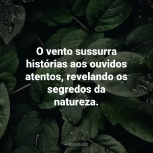 O vento sussurra histórias aos ouvidos atentos, revelando os segredos da natureza.
