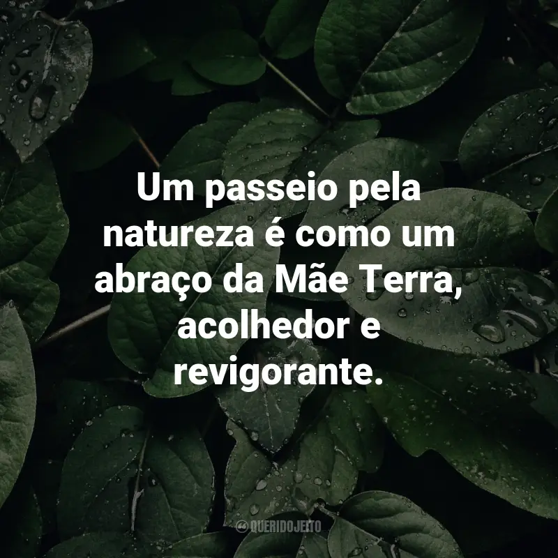 Frases sobre a natureza: Um passeio pela natureza é como um abraço da Mãe Terra, acolhedor e revigorante.