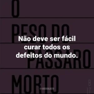 Não deve ser fácil curar todos os defeitos do mundo.