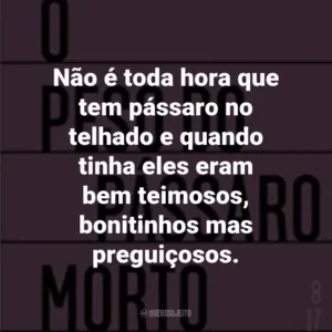 Não é toda hora que tem pássaro no telhado e quando tinha eles eram bem teimosos, bonitinhos mas preguiçosos.