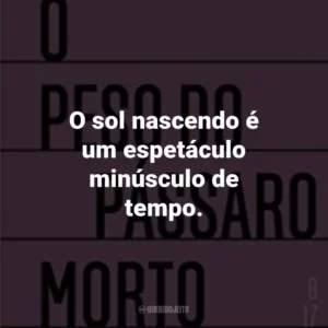 O sol nascendo é um espetáculo minúsculo de tempo.