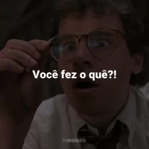 Você fez o quê?! – Diane Szalinski.