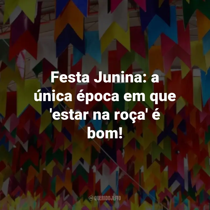 Frases de São João Engraçadas: Festa Junina: a única época em que 'estar na roça' é bom!