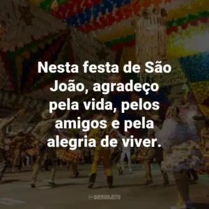 Nesta festa de São João, agradeço pela vida, pelos amigos e pela alegria de viver.
