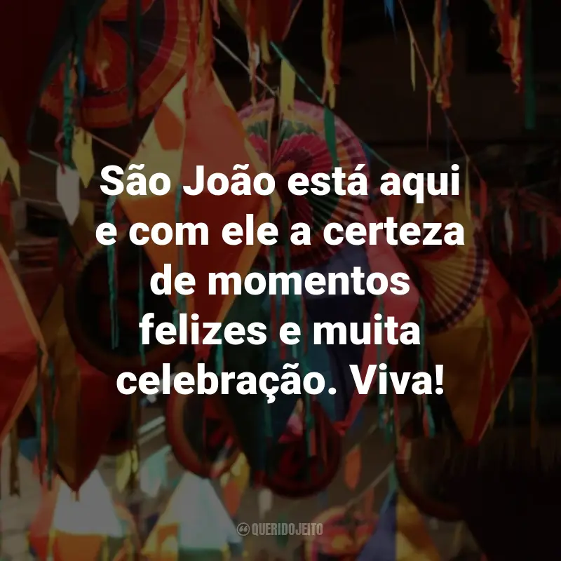 Frases de São João: São João está aqui e com ele a certeza de momentos felizes e muita celebração. Viva!
